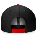 chicago blackhawks 3.png