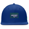 vancouver canucks 2.png