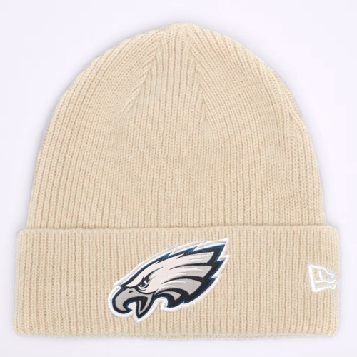 philadelphia eagles winter 2.png