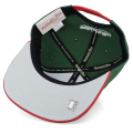 SEATTLE SUPERSONICS 4.png