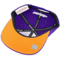 phoenix suns hatstore 4.png