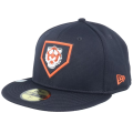 detroit tigers hat1.png