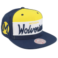 WOLV1.png
