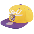lsu1.png