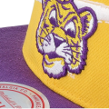 lsu4.png