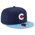 cubscity2.png