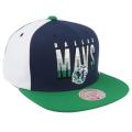 mavs2.png