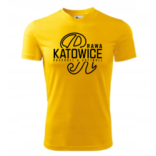 rawa zolta 26.png