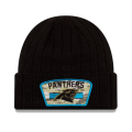 panthers1.png