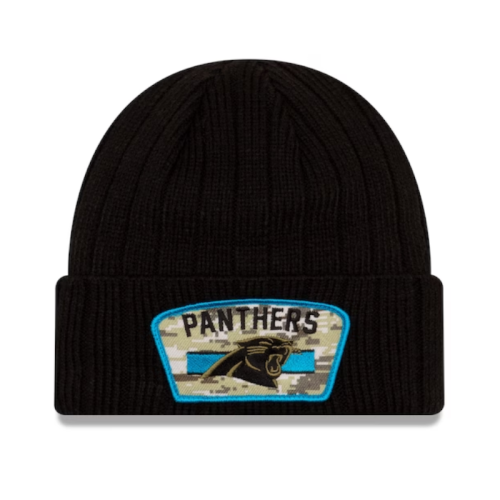 panthers1.png
