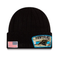 panthers2.png